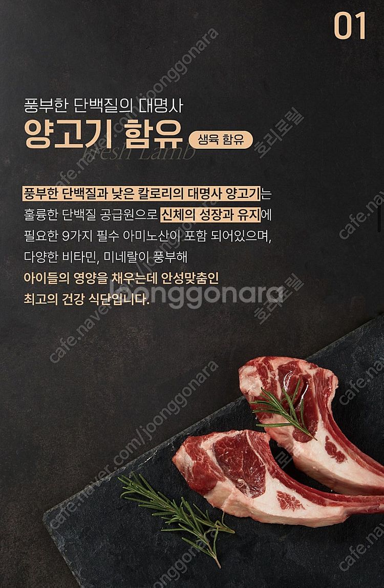 강아지사료 올바른끼니 팝니다--6
