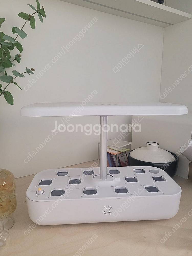 [미사용 급처] 오늘식물AIR 수경재배기 팝니다.--0