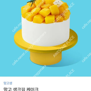 투썸플레이스 망고 생크림 케이크 3.8만원권 (제품 변경 가능)
