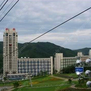 평창 휘닉스파크 12일 당일 1박 구해요