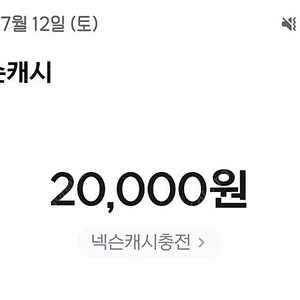 넥슨 플레이 포인트(캐시) 20000원