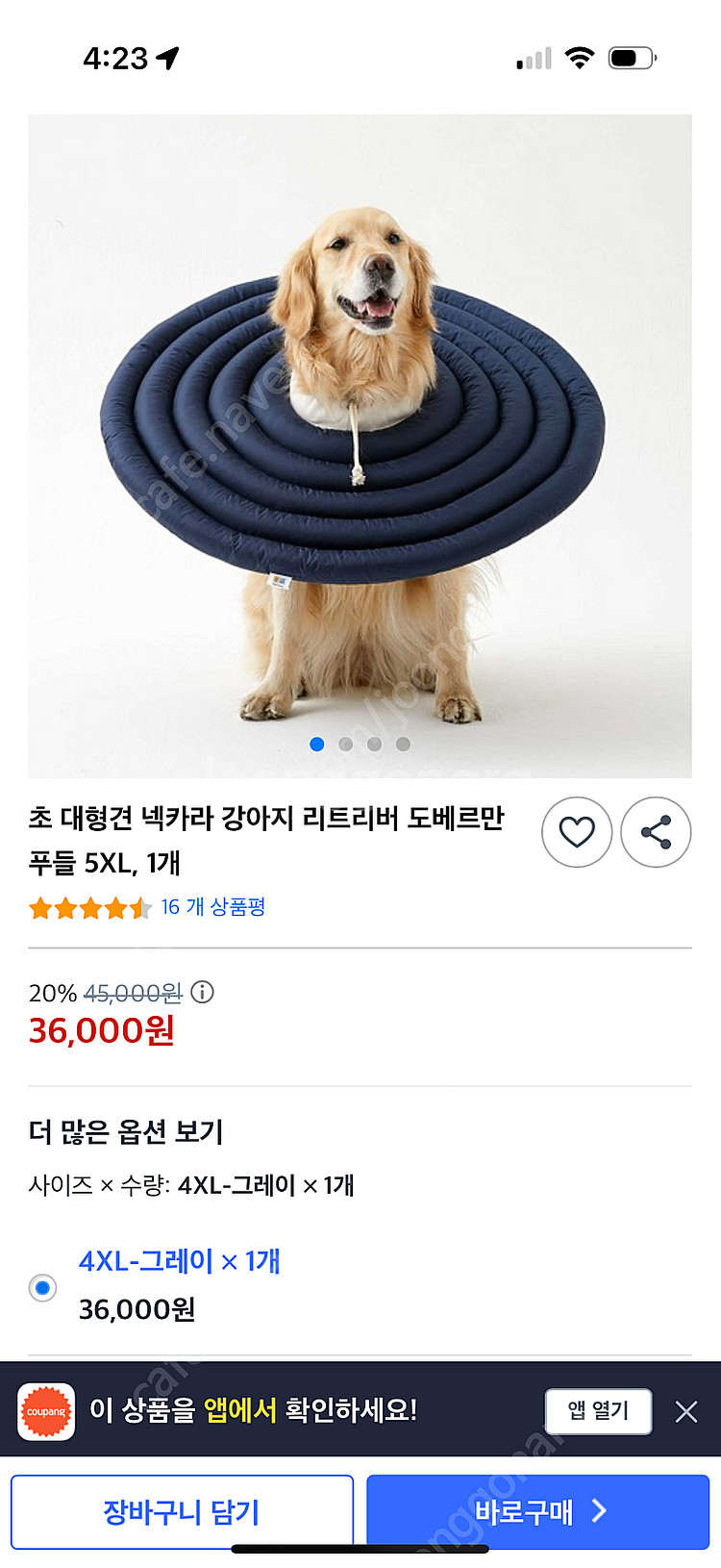 대형견 넥카라택포 15000--2