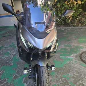 25년식 포르자 750