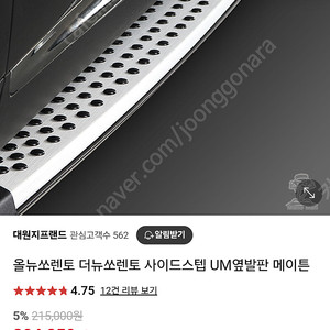 소렌토 싸이드 스텝