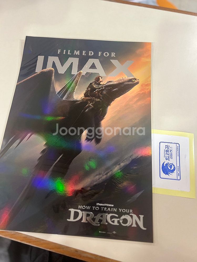 드래곤 길들이기 IMAX 포스터 (대구)--0