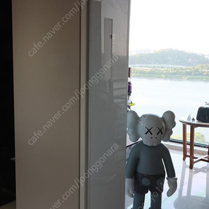 삼성 에어드레서(DF60R8300WG) 25만원에 가져가세요~