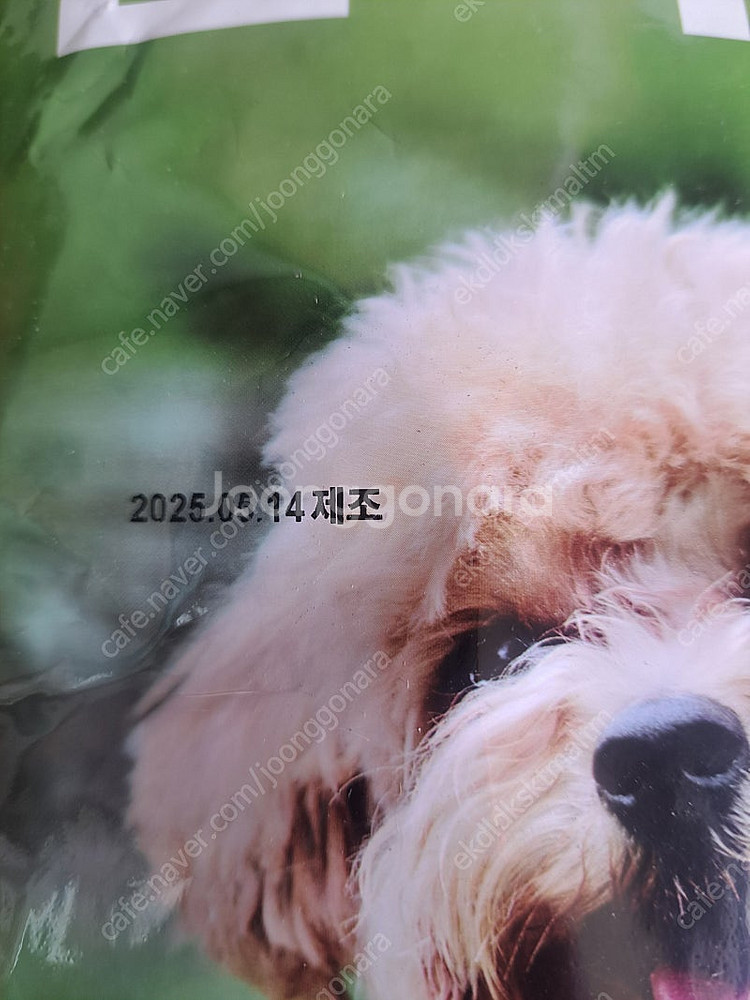잘먹잘싸 강아지 사료 2키로--1