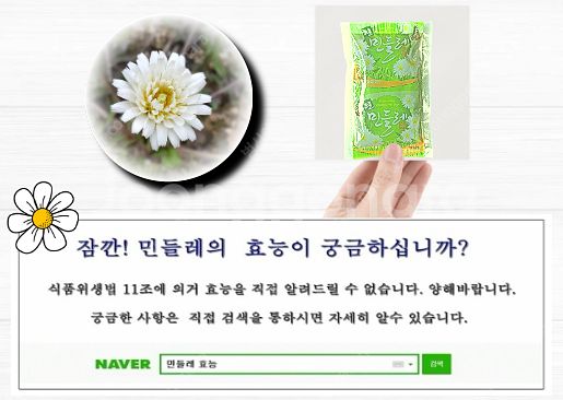 흰민들레즙--5