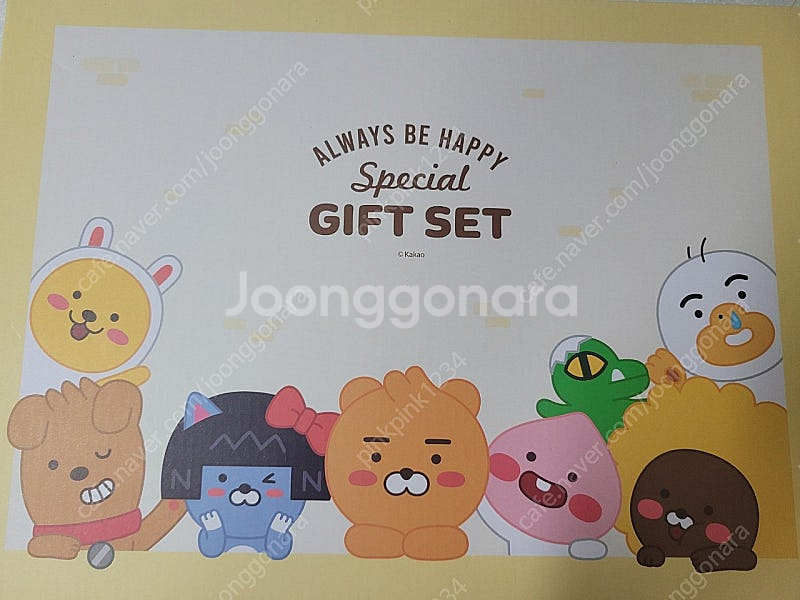 카카오프렌즈 스페셜기프트세트 새것--0