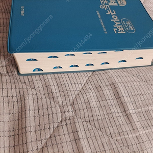 연세초등국어사전