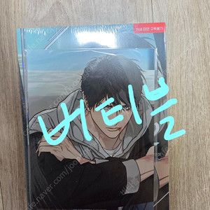 bl 비엘 웹툰 새디스틱 뷰티 외전B 새뷰b 새뷰 우경민호 변민호 단행본 2권