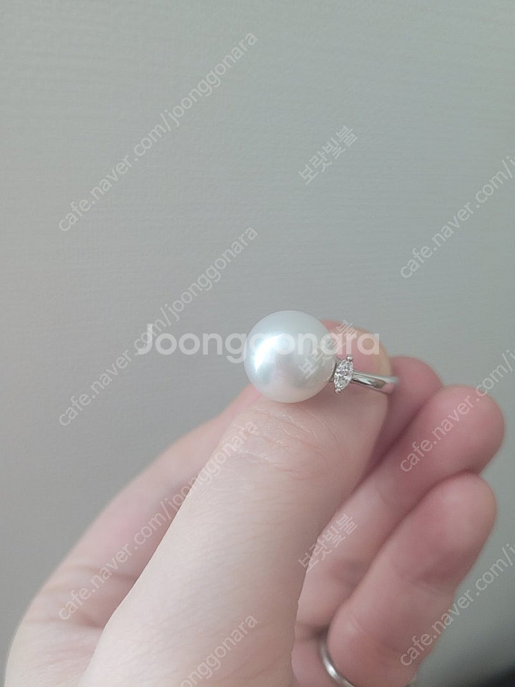 남양진주 풀셋트--5