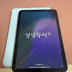 아이패드 미니6 256기가 와이파이 스타라이트