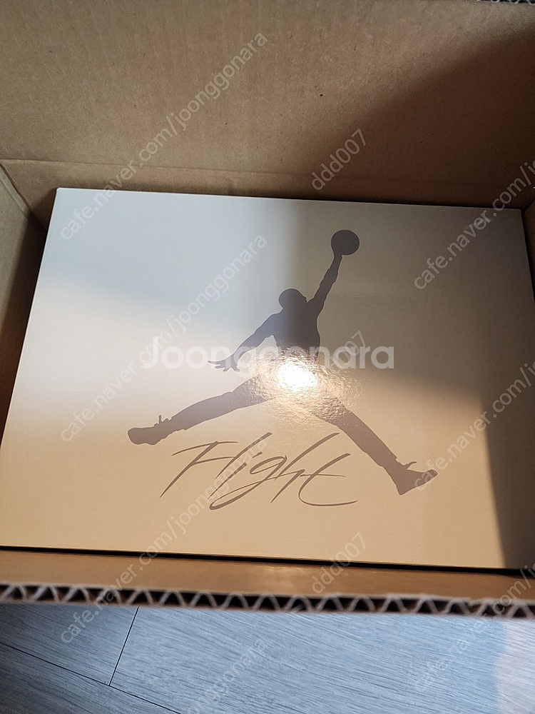 Jordan 4 x Nike SB Retro SP Na...--1