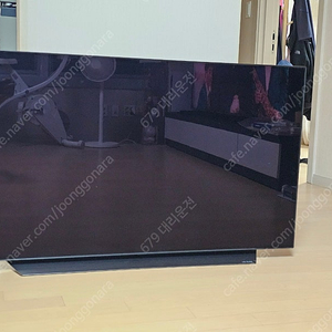 LG OLED48C1KNB 48인치 TV