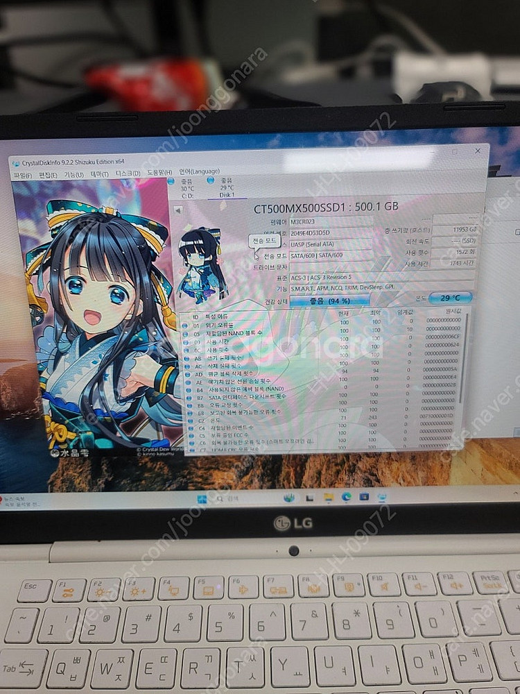 크루셜 MX500 500기가 SSD 열개 일괄 택포로 ...--5