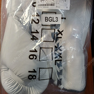 페어텍스 복싱 킥복싱 글러브 BGL3 화이트 12온즈