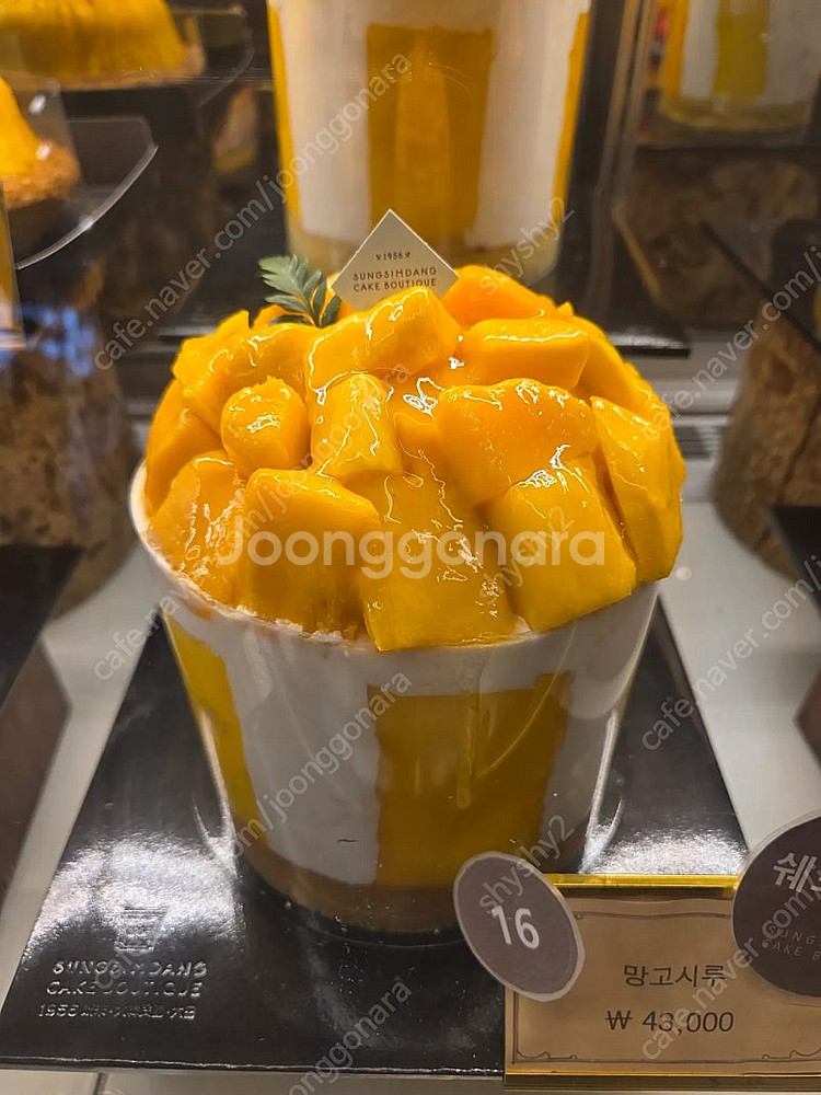 성심당 망고시루 망고롤 구매 해드려요 [후기 많음]--0