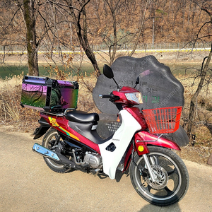 25식 대림 DNA모터스 시티베스트 115cc
