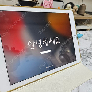 아이패드 프로 9.7 셀룰러 모델 128GB + 애플펜슬 팝니다