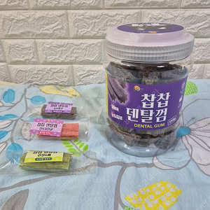 강아지 개껌 (쏨달펫 찹찹 덴탈껌)