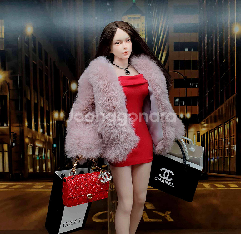 명품걸 피첸 바디 커스텀 12인치 피규어(핫토이x)--2