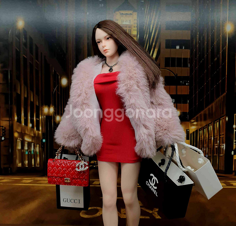 명품걸 피첸 바디 커스텀 12인치 피규어(핫토이x)--3