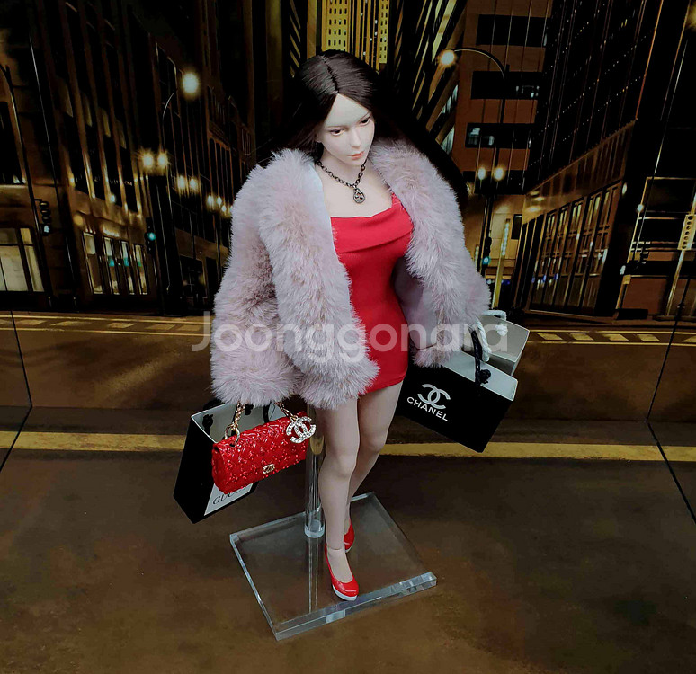 명품걸 피첸 바디 커스텀 12인치 피규어(핫토이x)--4