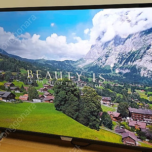 50인치 tv (필립스 50PUN6233/61)