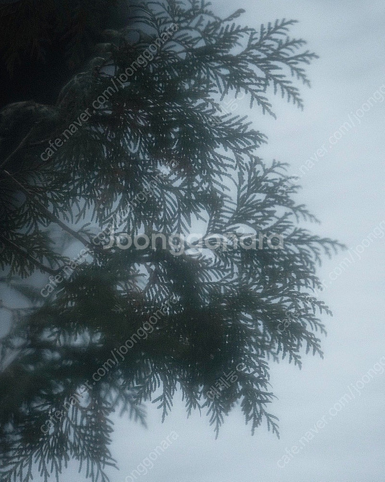 (네고가능) 올드렌즈 수동렌즈 탐론 30 0mm f5....--2