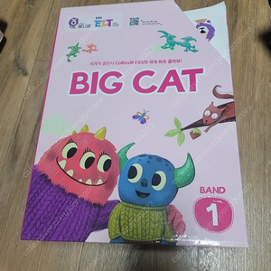 big cat band1 빅캣 밴드1(택포)