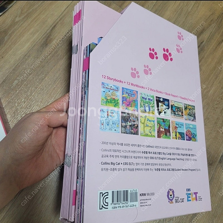 big cat band1 빅캣 밴드1(택포)--1