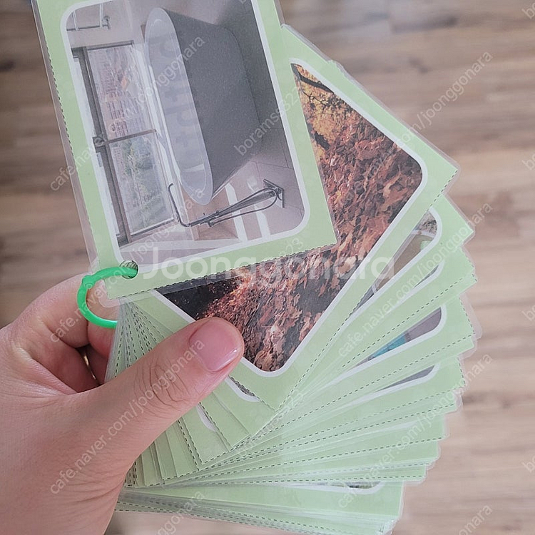 big cat band1 빅캣 밴드1(택포)--2