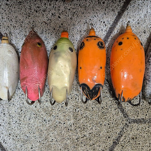 가물치 루어 프로그