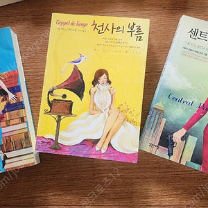 기욤뮈소 가네시로 가즈키 소설, 돈키호테
