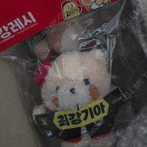 기아 레시 최강레시 승요레시 반택포 기아타이거즈