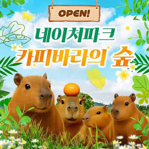 네이처파크 1+1=2인 종일권 판매<바로입장 가능>