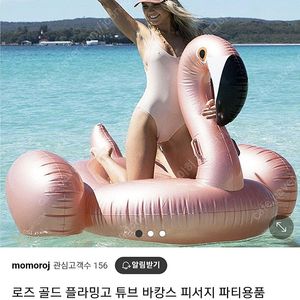 로즈골드 플라밍고 대형튜브