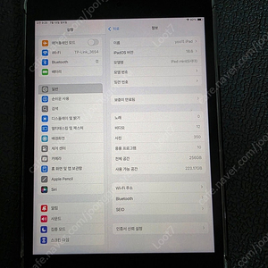 아이패드 미니5세대 256gb 팝니다.