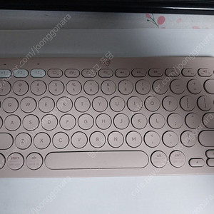 로지텍 K380 핑크