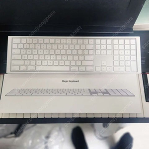 애플 매직키보드 A1843