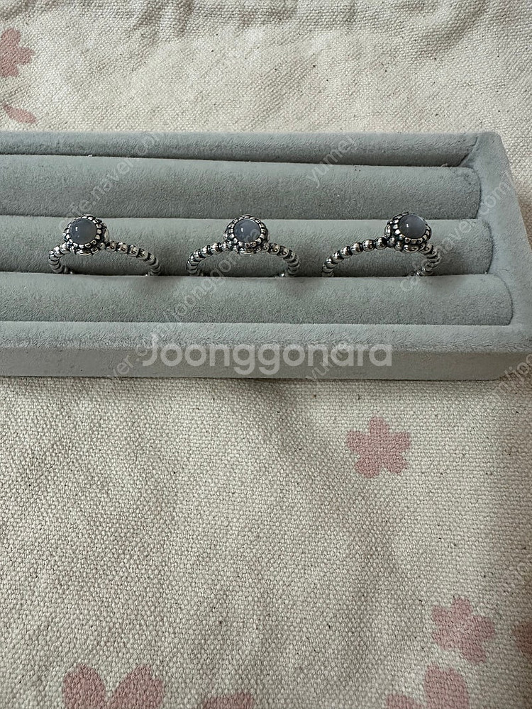 판도라 구탄 6월--0