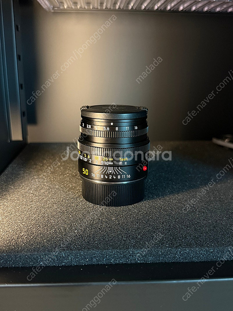 라이카 주미크론 50mm f2 현행--0