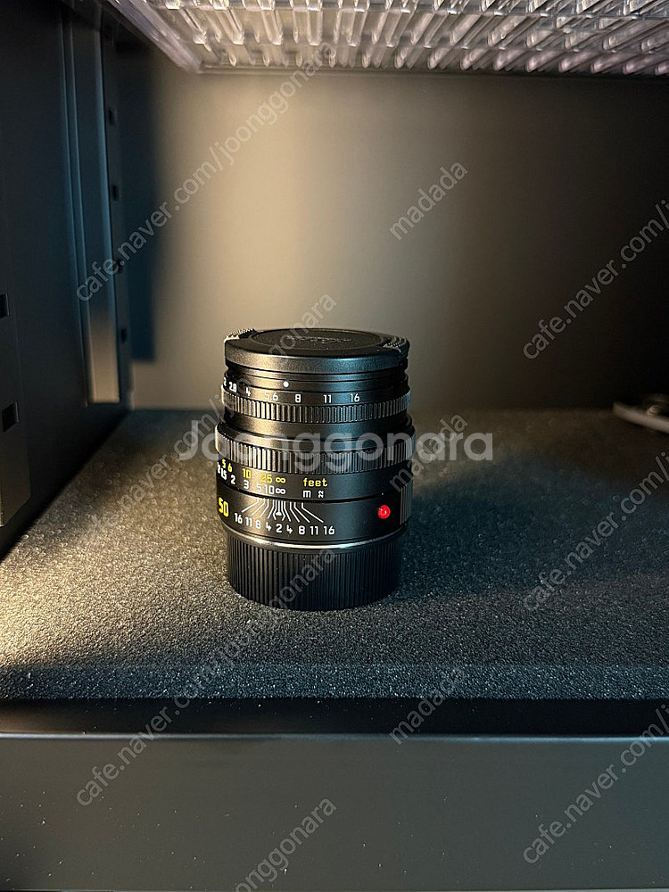 라이카 주미크론 50mm f2 현행--4
