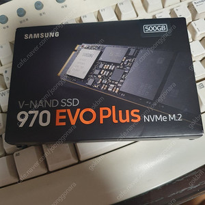 삼성 970 EVO Plus 500GB SSD