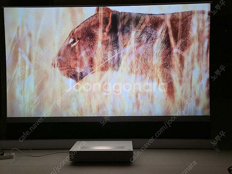LG HU85LA +삼성 롤러블스크린 120인치 판매합...--3