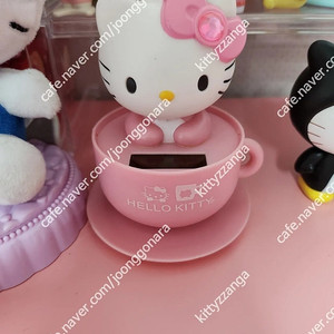 고전키티 키티 노호혼