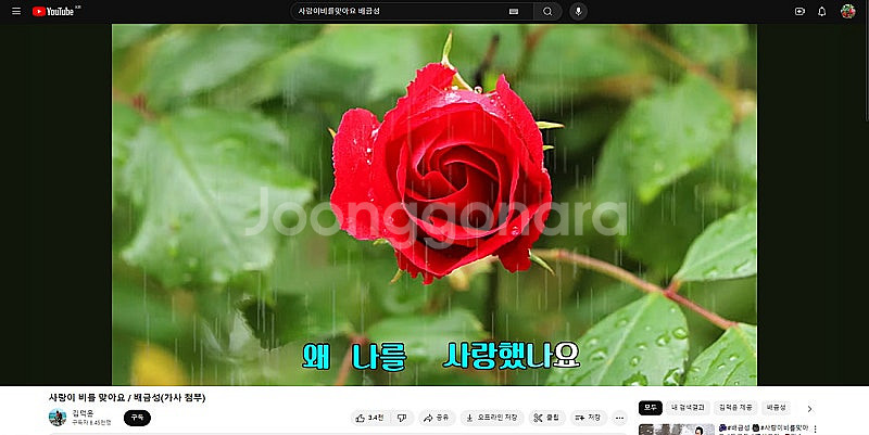 [개인] 윈도우11pro 1테라하드 8기가램 인터넷 유...--1