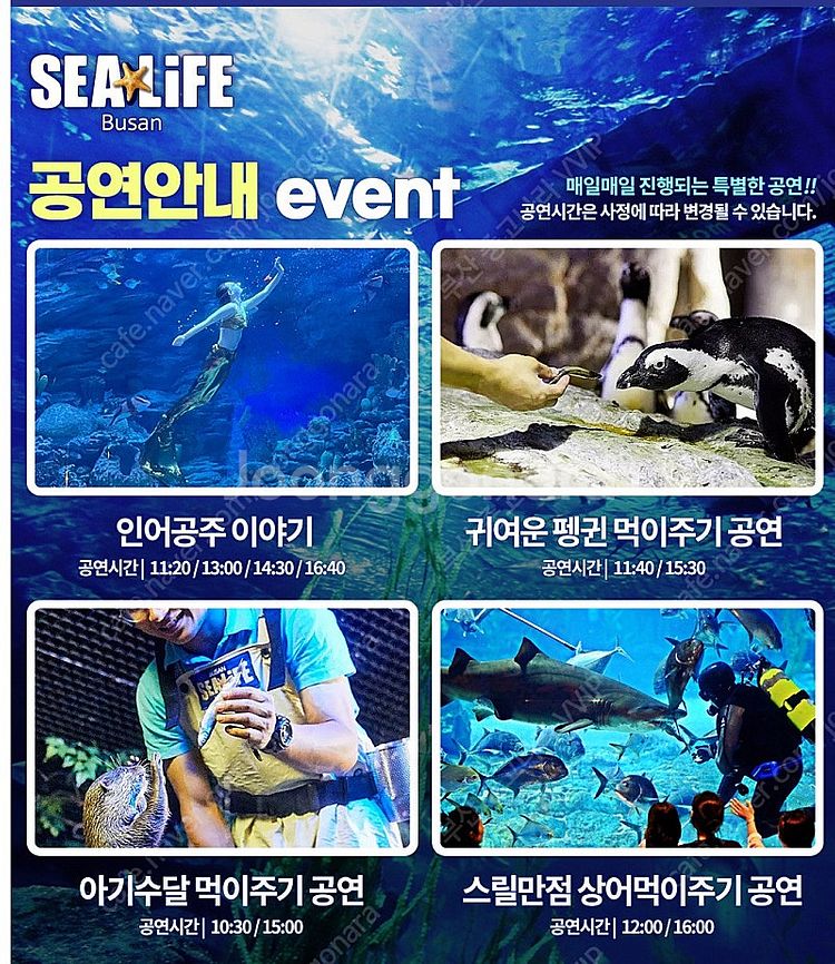 씨라이프 부산아쿠아리움 모바일 입장권--0