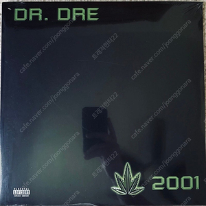 닥터 드레 2001 LP